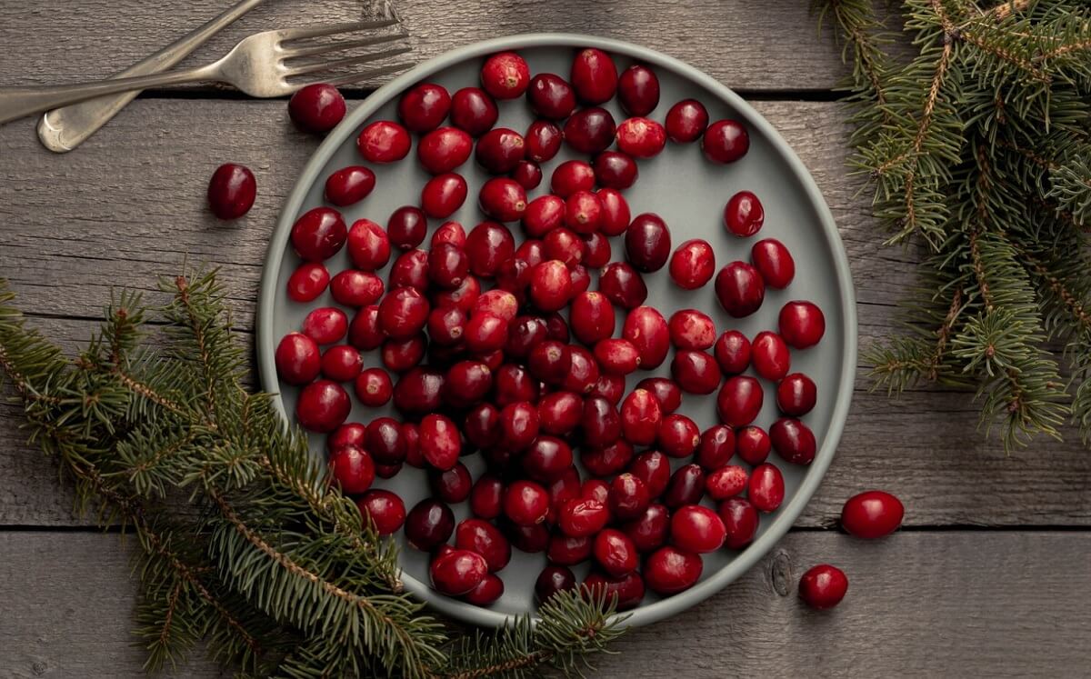 żurawina liofilizowana