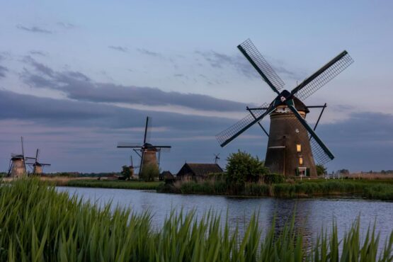 przewozy busami do holandii