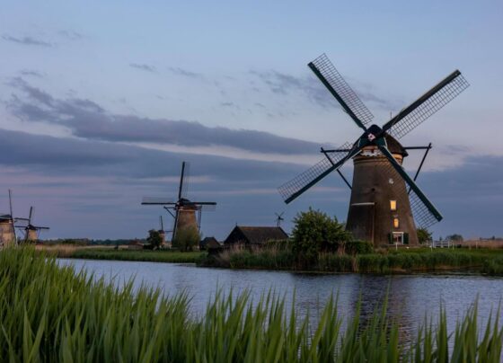 przewozy busami do holandii